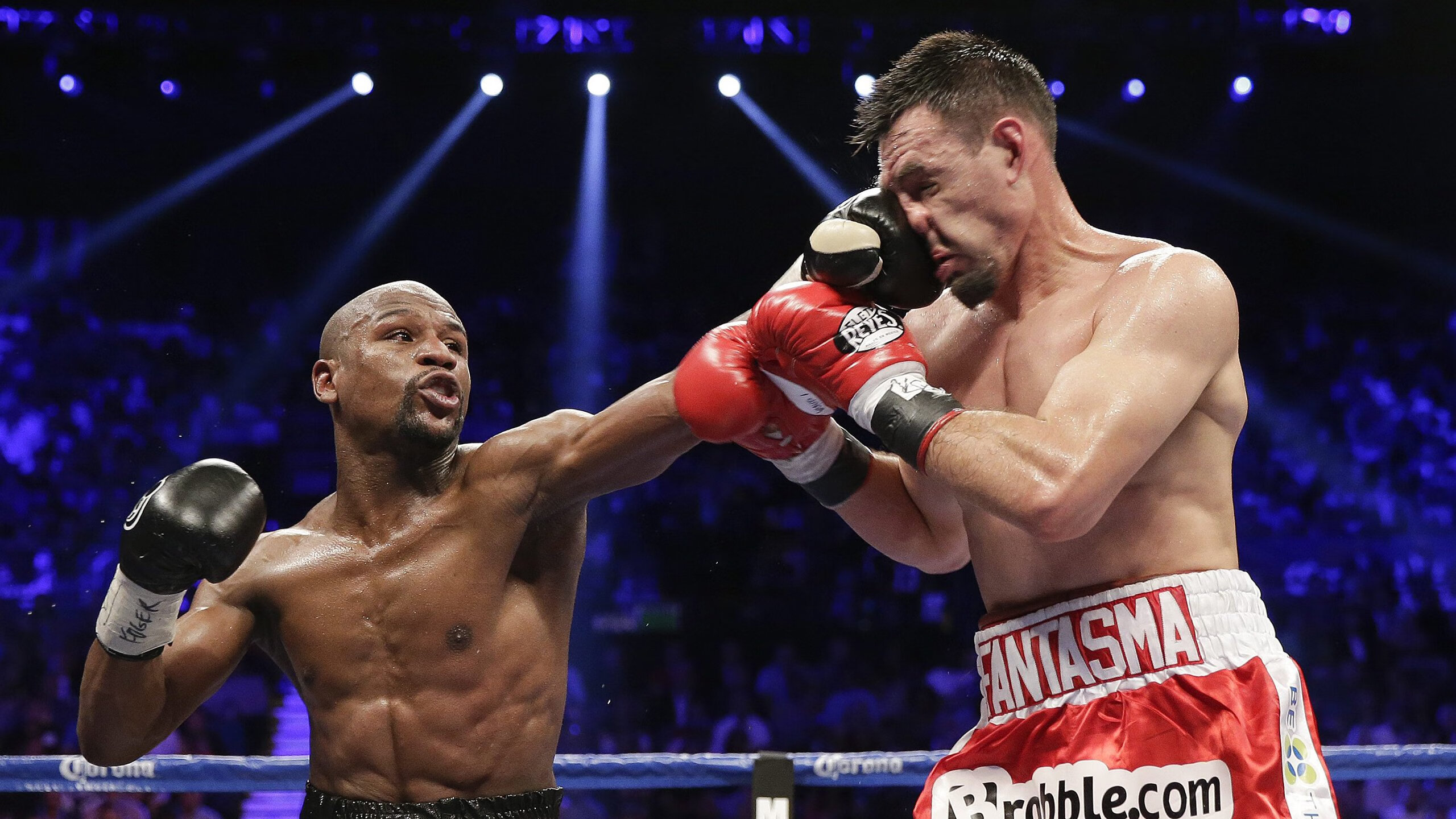 巴西马术协会与法国马术协会合作，举办国际马术研讨会，促进学术交流。